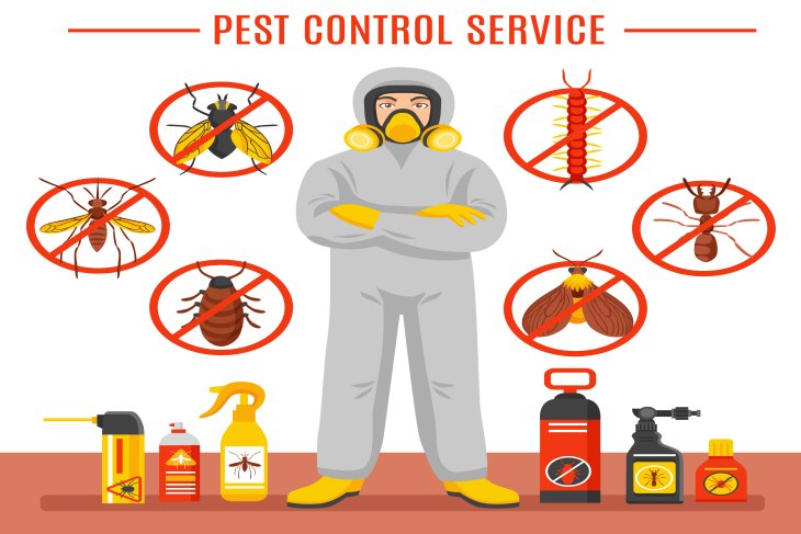 Best Pest control Service in Patna